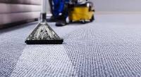 City Carpet Cleaning Melton image 5
